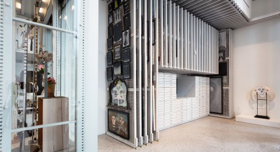 A room displaying an abundance of shelves and glass, with ceiling-mounted art racks that slide out over flat-file cabinets.