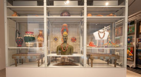A collection of diverse objects elegantly presented in a display case.