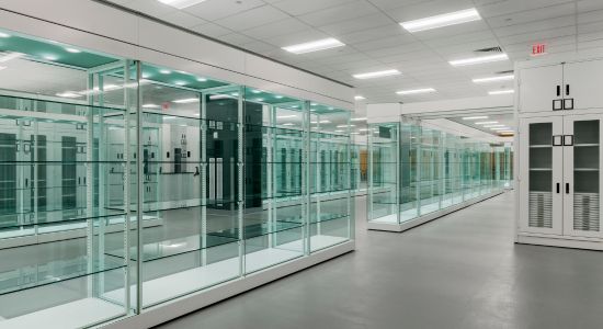 A spacious room filled with glass cases and shelves showcasing museum artifacts.